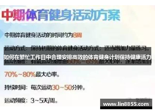 如何在繁忙工作日中合理安排高效的体育健身计划保持健康活力